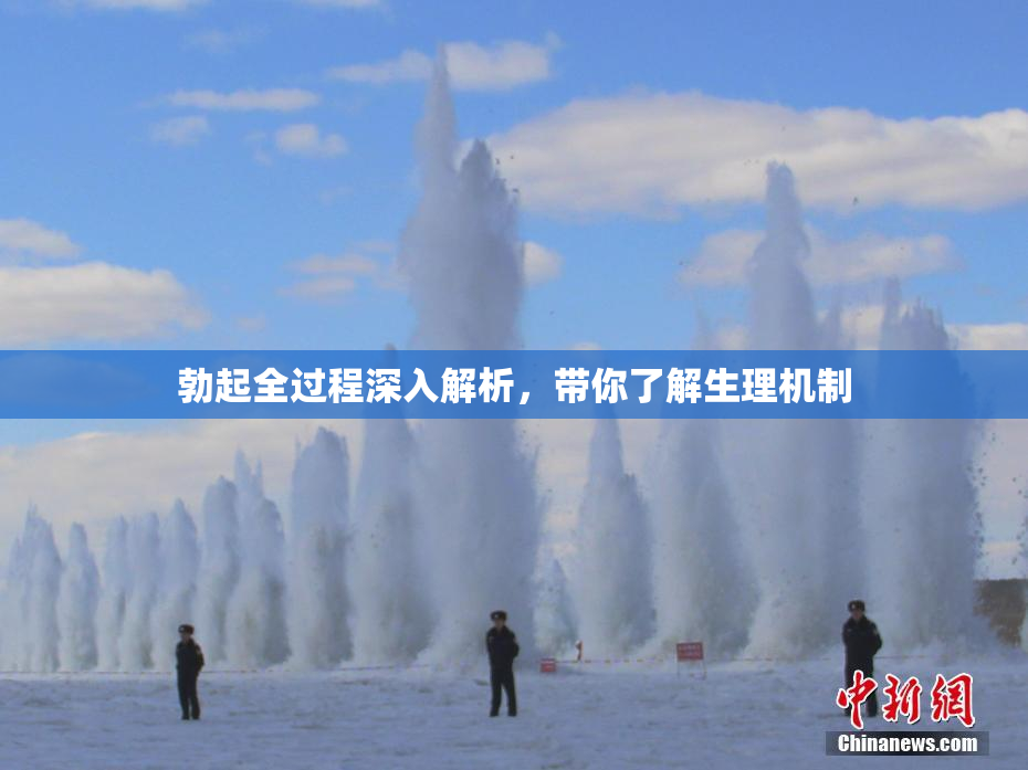 勃起全过程深入解析，带你了解生理机制
