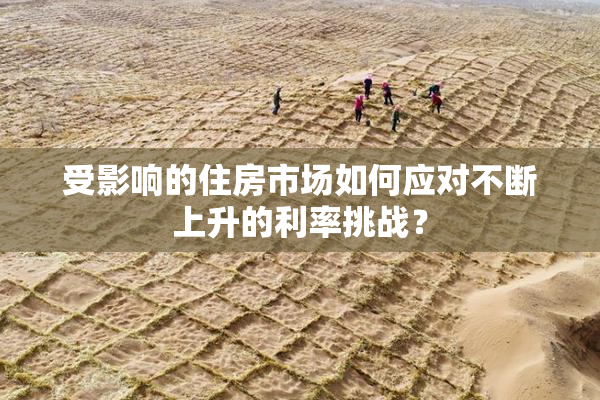 受影响的住房市场如何应对不断上升的利率挑战？
