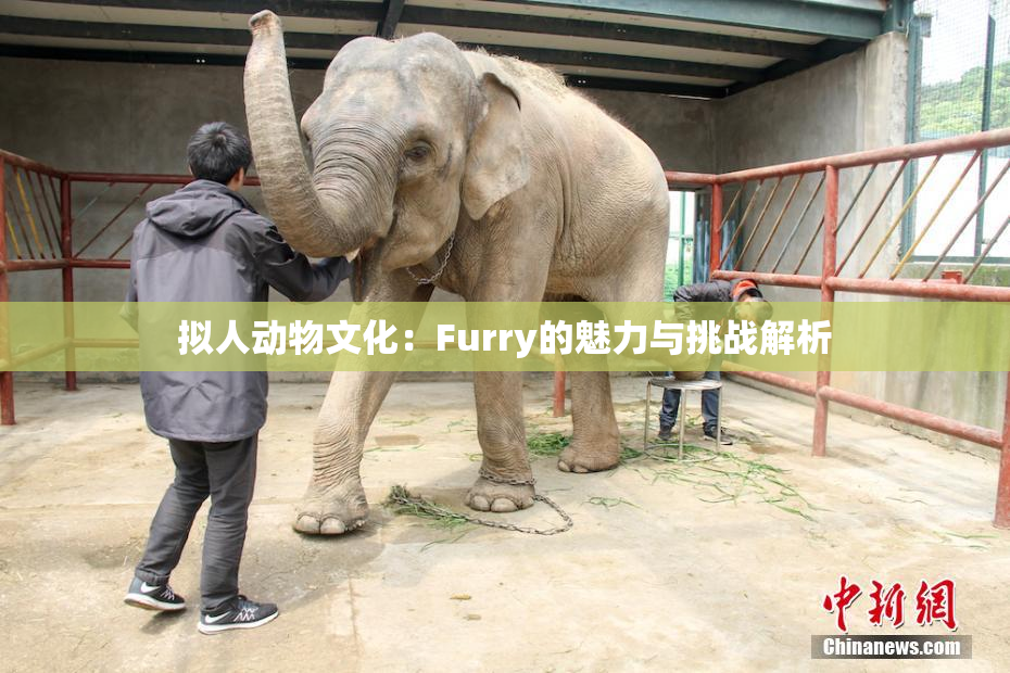 拟人动物文化：Furry的魅力与挑战解析