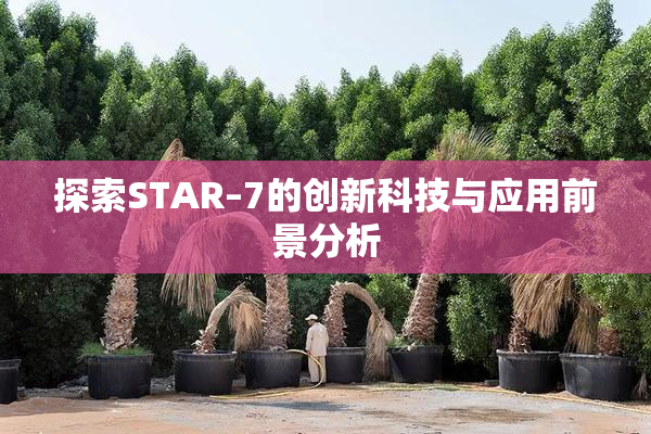 探索STAR–7的创新科技与应用前景分析