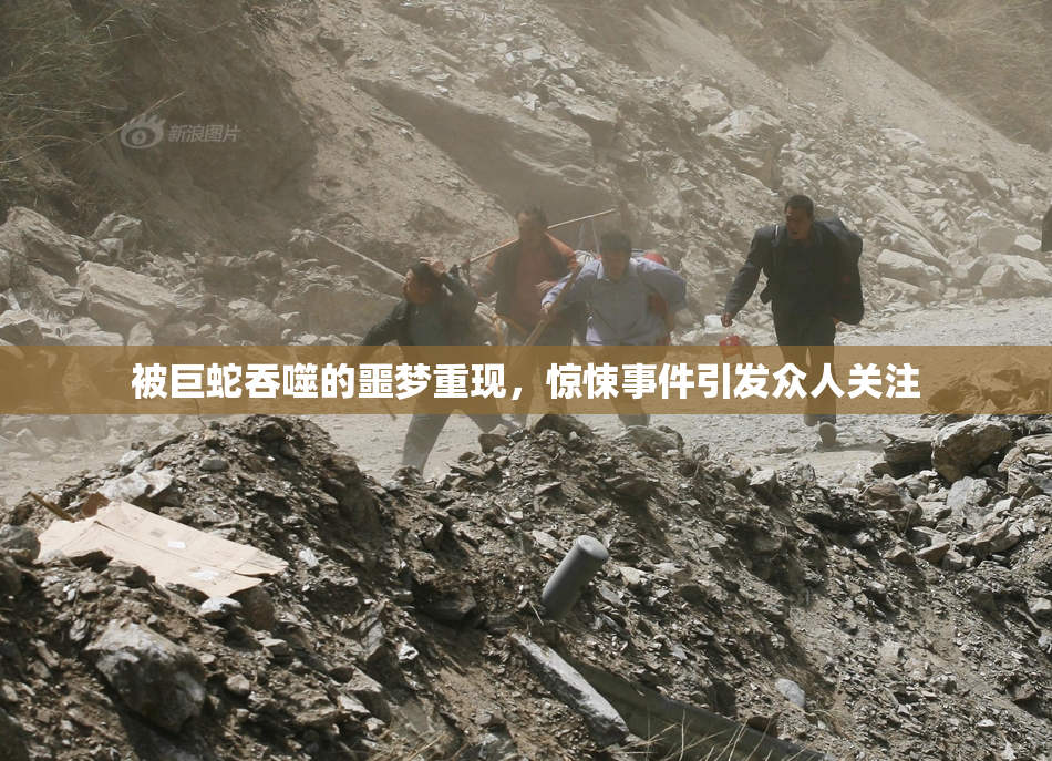 被巨蛇吞噬的噩梦重现，惊悚事件引发众人关注
