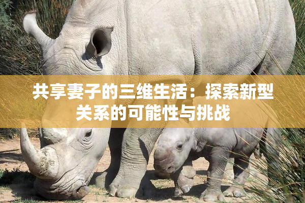 共享妻子的三维生活：探索新型关系的可能性与挑战