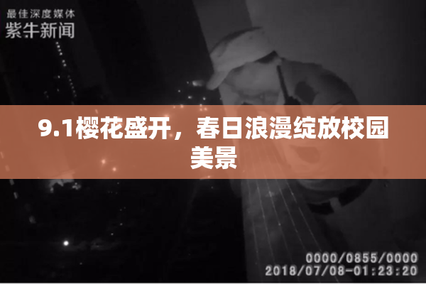 9.1樱花盛开，春日浪漫绽放校园美景