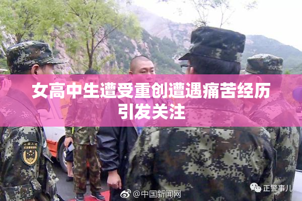 女高中生遭受重创遭遇痛苦经历引发关注