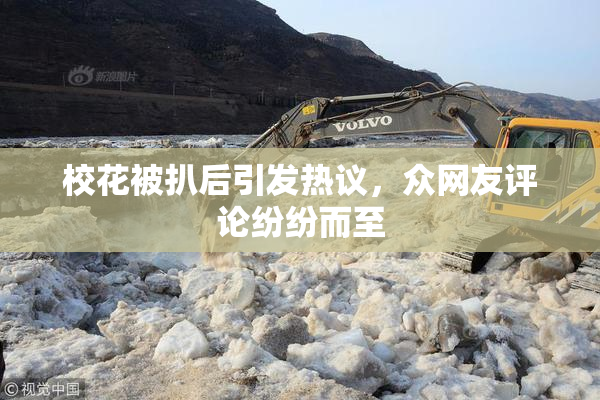 校花被扒后引发热议，众网友评论纷纷而至