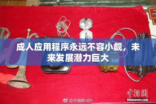 成人应用程序永远不容小觑，未来发展潜力巨大