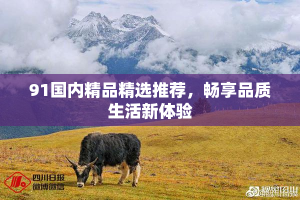 91国内精品精选推荐，畅享品质生活新体验