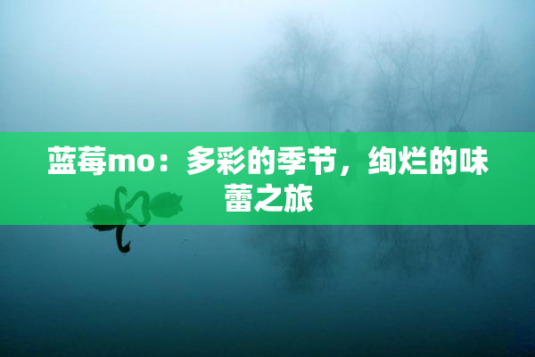 蓝莓mo：多彩的季节，绚烂的味蕾之旅