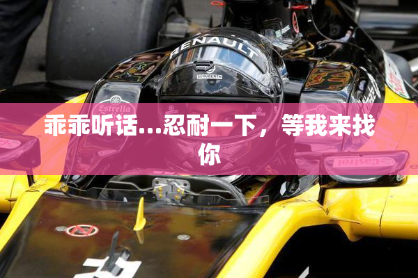 乖乖听话…忍耐一下，等我来找你