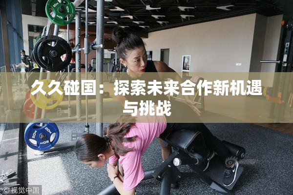 久久碰国：探索未来合作新机遇与挑战