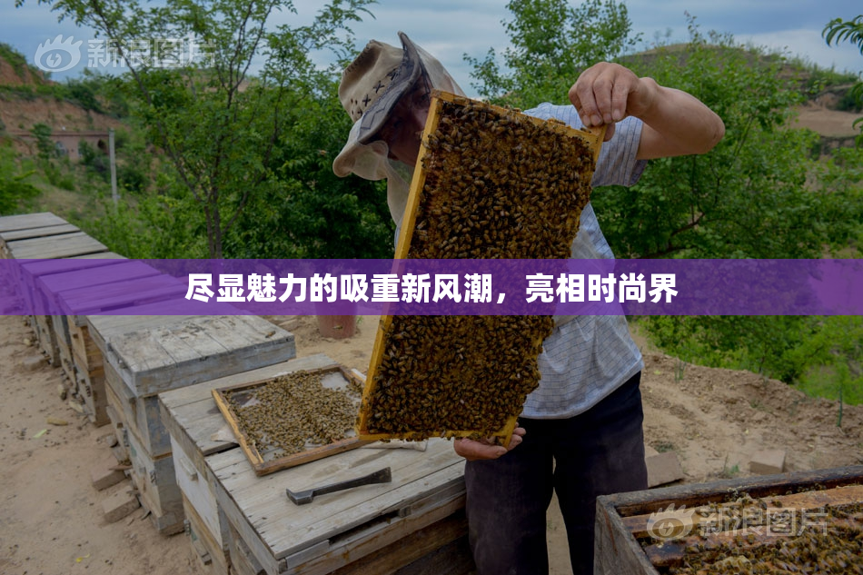 尽显魅力的吸重新风潮，亮相时尚界