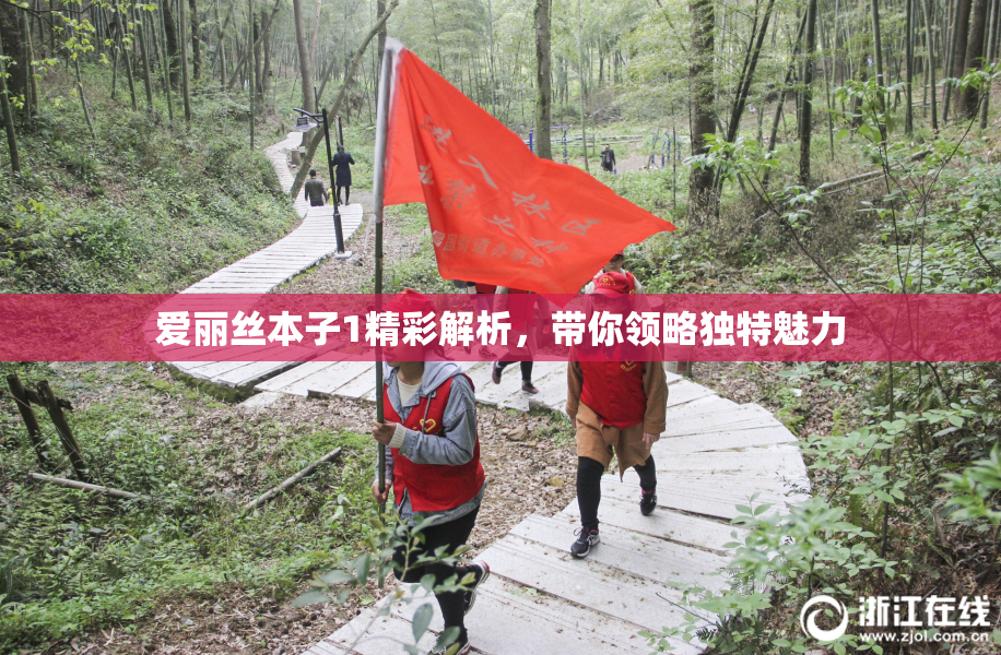 爱丽丝本子1精彩解析，带你领略独特魅力