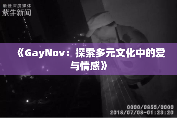《GayNov：探索多元文化中的爱与情感》