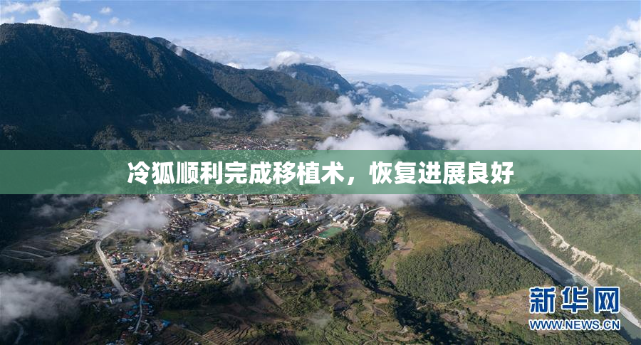 冷狐顺利完成移植术，恢复进展良好