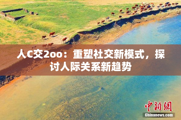 人C交2oo：重塑社交新模式，探讨人际关系新趋势