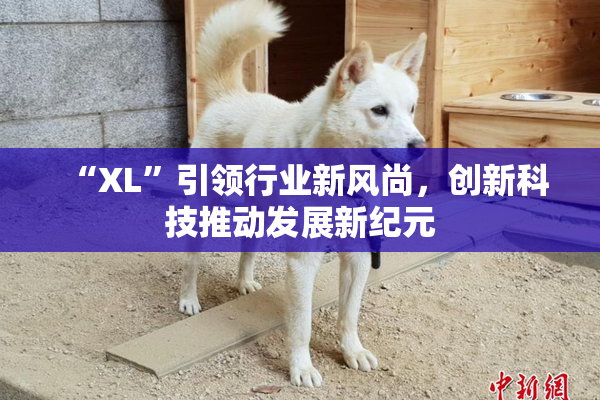 “XL”引领行业新风尚，创新科技推动发展新纪元