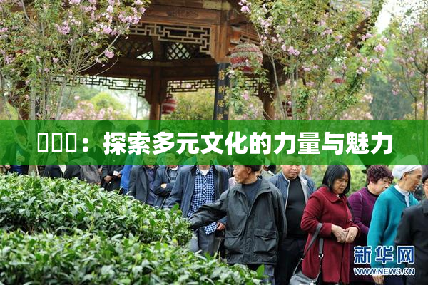 逹葢薾：探索多元文化的力量与魅力