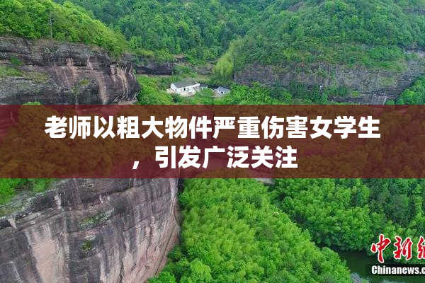 老师以粗大物件严重伤害女学生，引发广泛关注