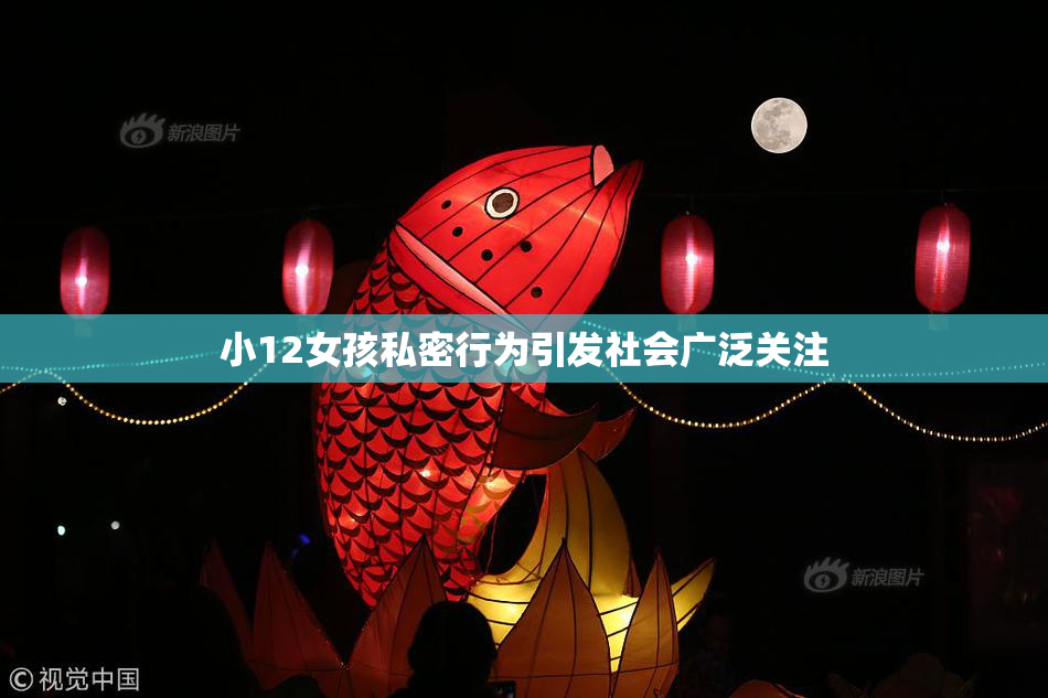 小12女孩私密行为引发社会广泛关注