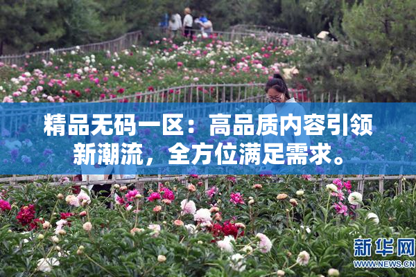 精品无码一区：高品质内容引领新潮流，全方位满足需求。