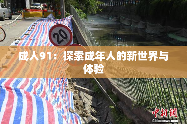 成人91：探索成年人的新世界与体验