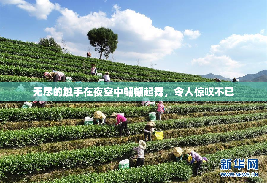 无尽的触手在夜空中翩翩起舞，令人惊叹不已
