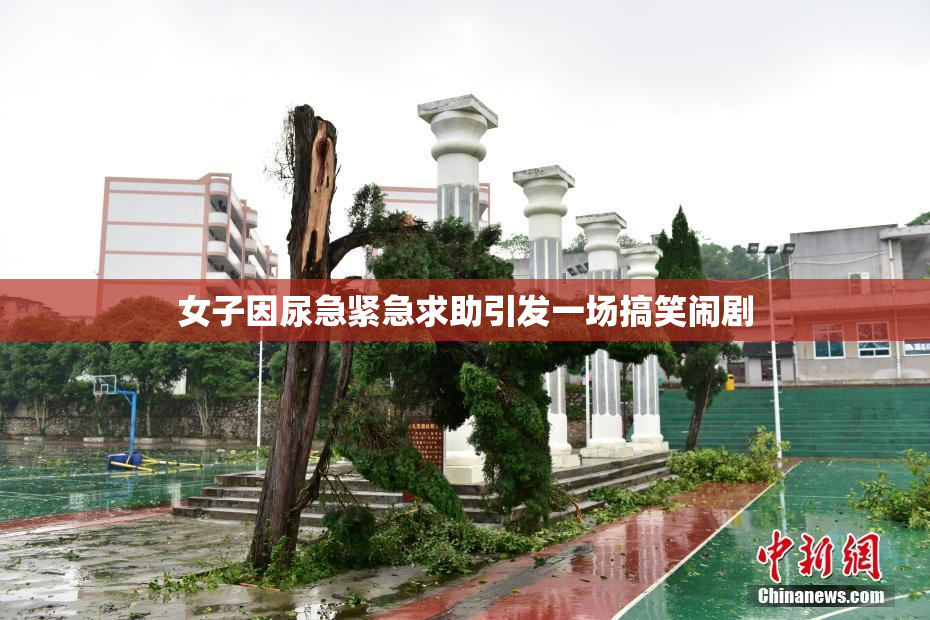 女子因尿急紧急求助引发一场搞笑闹剧