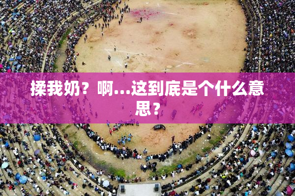 揉我奶？啊…这到底是个什么意思？