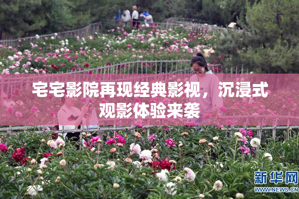 宅宅影院再现经典影视，沉浸式观影体验来袭