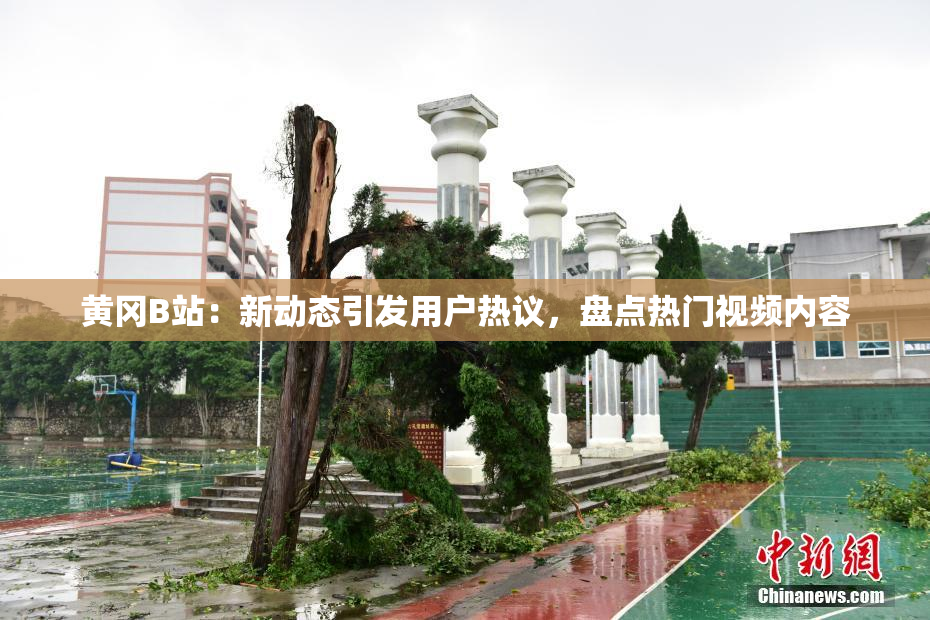 黄冈B站：新动态引发用户热议，盘点热门视频内容