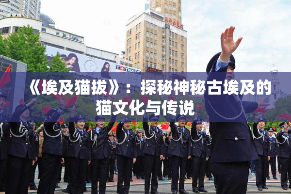 《埃及猫拔》：探秘神秘古埃及的猫文化与传说
