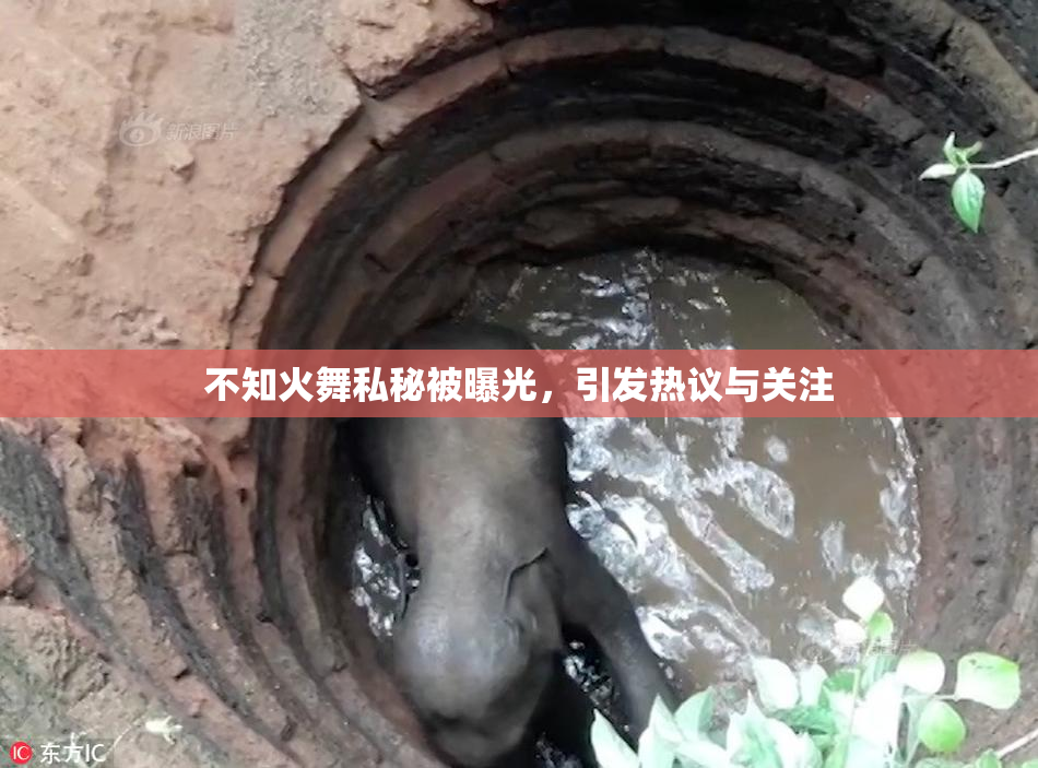 不知火舞私秘被曝光，引发热议与关注