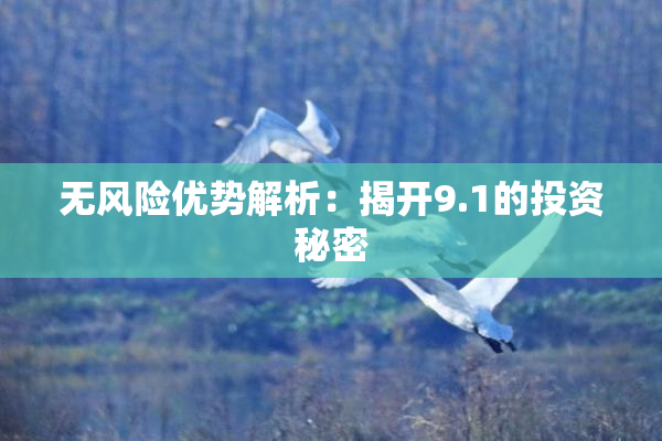 无风险优势解析：揭开9.1的投资秘密