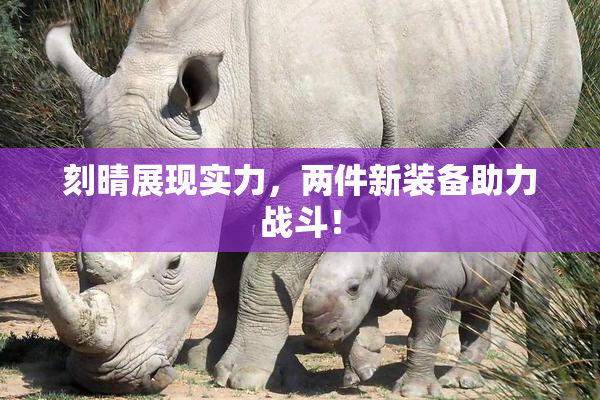 刻晴展现实力，两件新装备助力战斗！