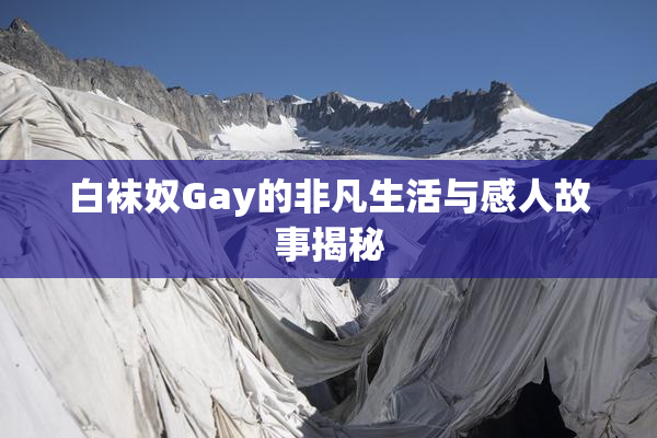 白袜奴Gay的非凡生活与感人故事揭秘