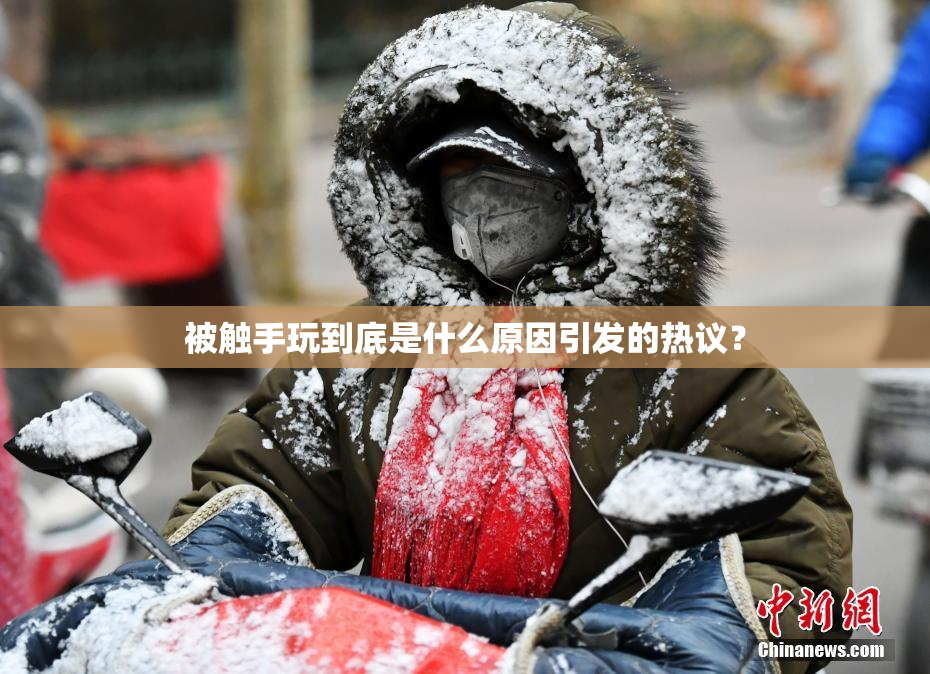 被触手玩到底是什么原因引发的热议？