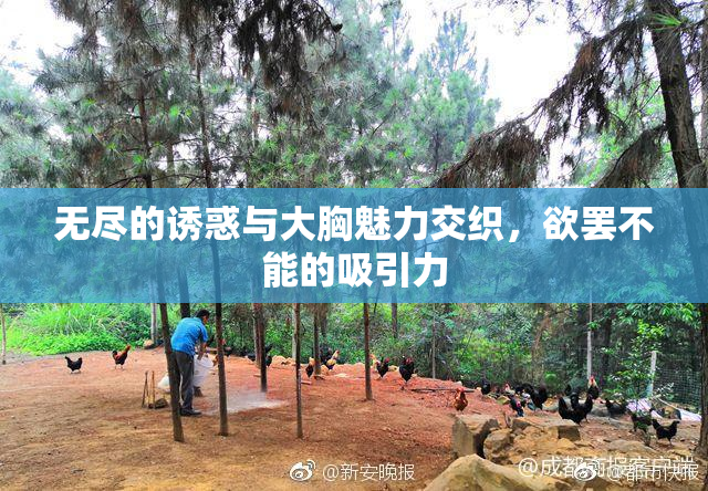 无尽的诱惑与大胸魅力交织，欲罢不能的吸引力