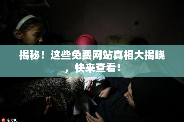 揭秘！这些免费网站真相大揭晓，快来查看！