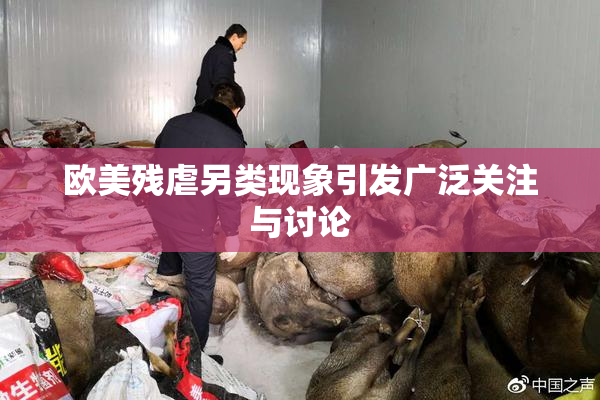 欧美残虐另类现象引发广泛关注与讨论