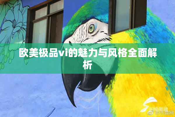 欧美极品vi的魅力与风格全面解析