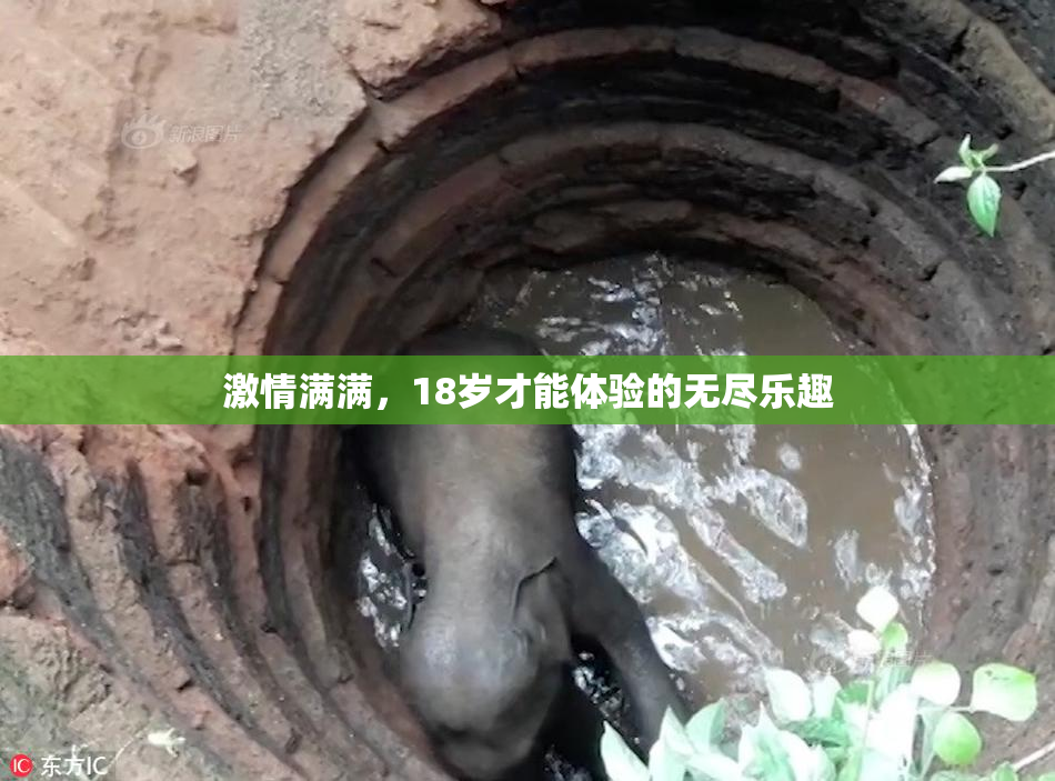 激情满满，18岁才能体验的无尽乐趣