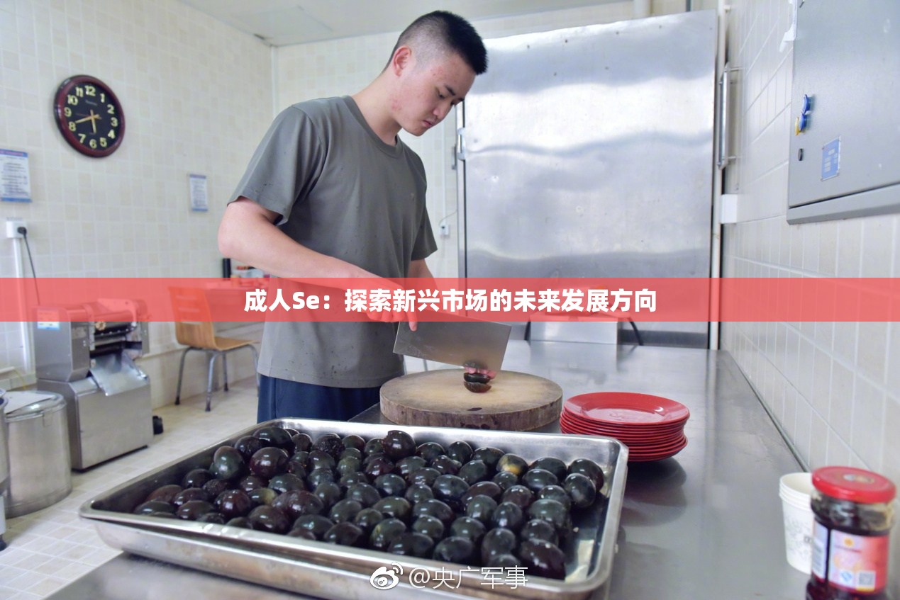 成人Se：探索新兴市场的未来发展方向
