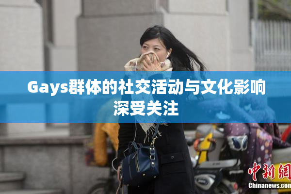Gays群体的社交活动与文化影响深受关注