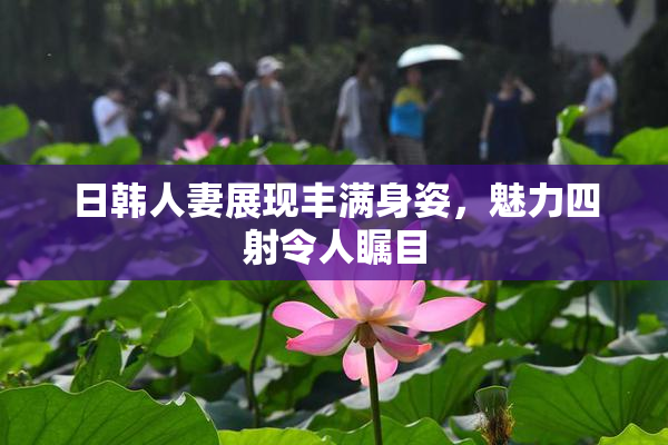 日韩人妻展现丰满身姿，魅力四射令人瞩目