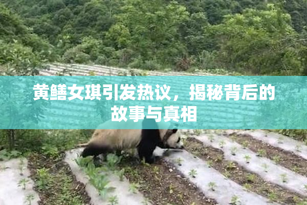 黄鳝女琪引发热议，揭秘背后的故事与真相