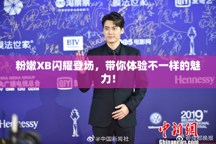 粉嫩XB闪耀登场，带你体验不一样的魅力！