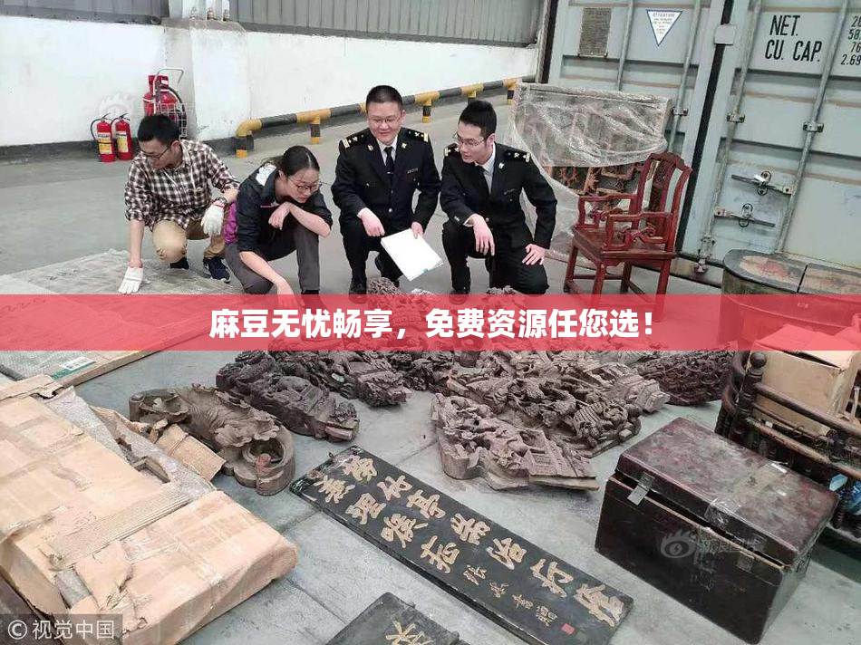 麻豆无忧畅享，免费资源任您选！