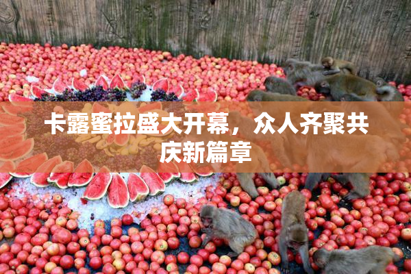 卡露蜜拉盛大开幕，众人齐聚共庆新篇章