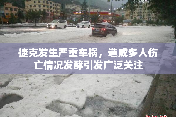 捷克发生严重车祸，造成多人伤亡情况发酵引发广泛关注