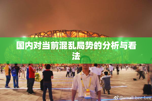 国内对当前混乱局势的分析与看法